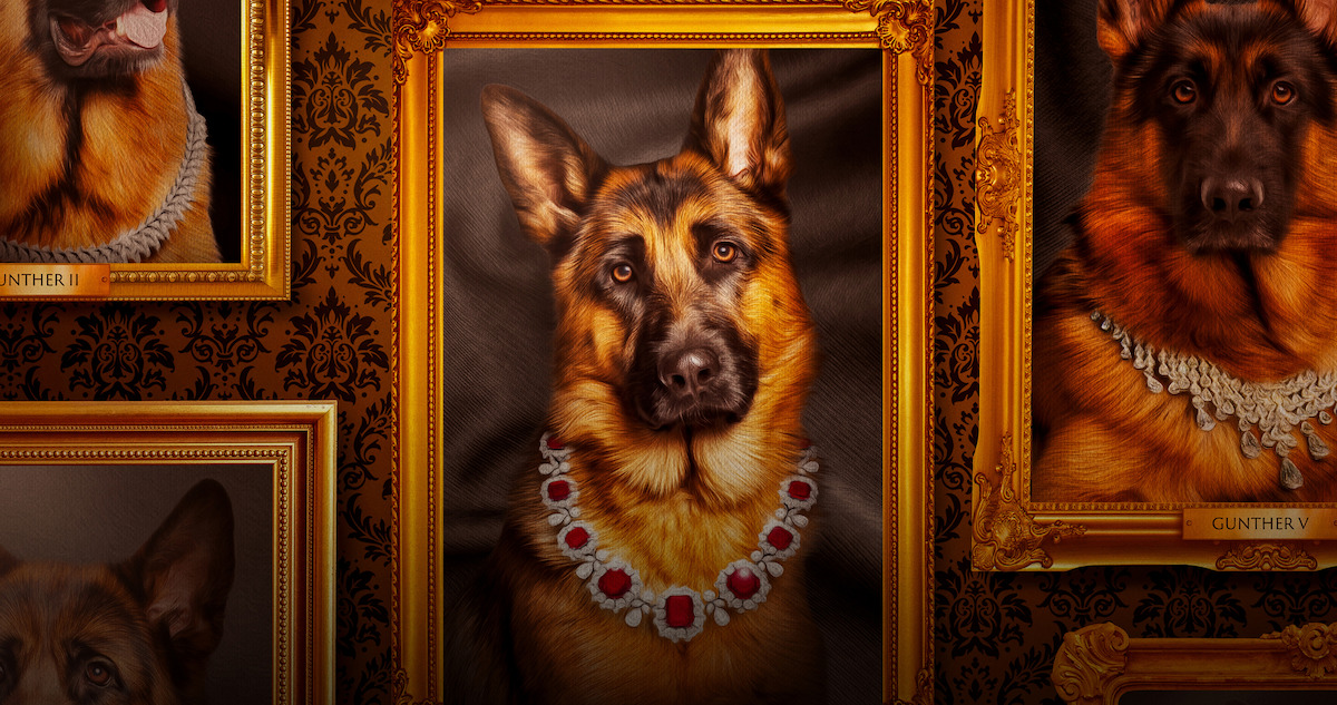 How Much is Gunther the Dog Worth In Gunther’s Millions? Netflix Tudum