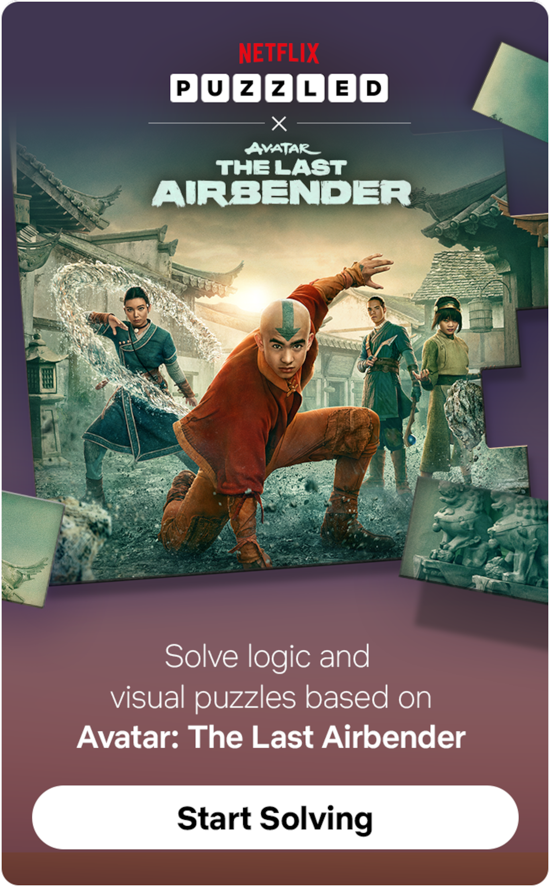 Netflix Puzzled - Avatar The Last Airbender
