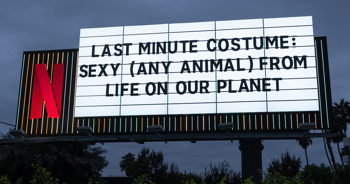 Sunset Billboard for ‘Life on Our Planet’ - ‘Last minute costume: Sexy (Any Animal) from Life on our Planet’