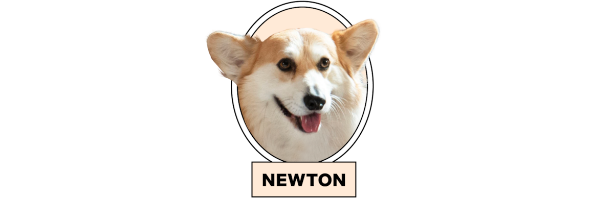 Newton the dog