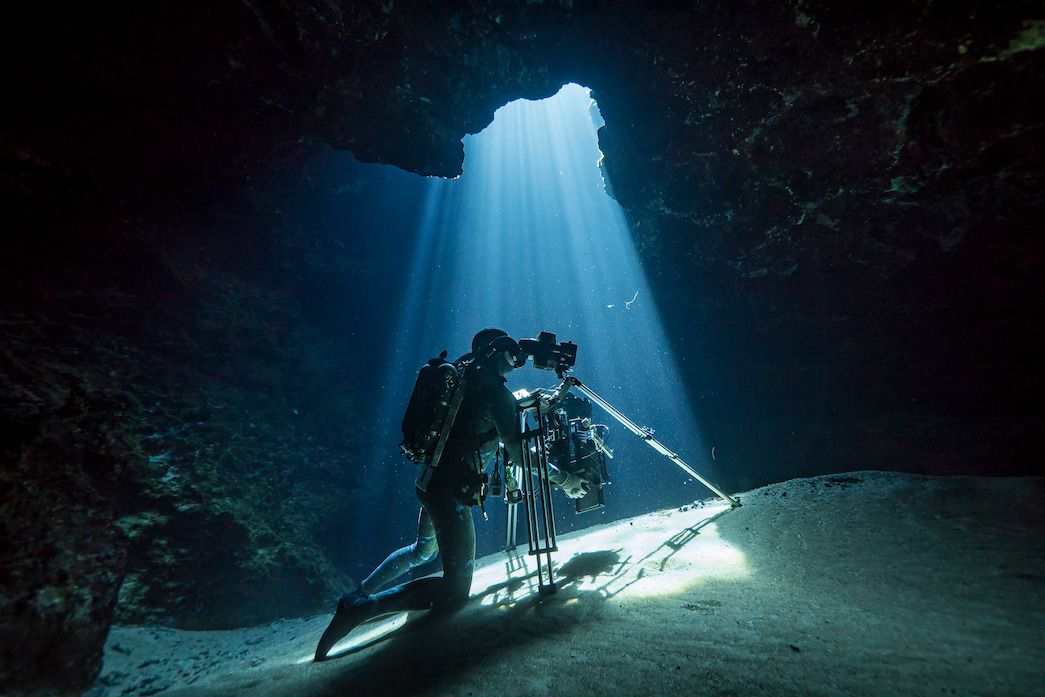 Is 'Our Planet' CGI? Here's How This Nature Documentary Is Actually Made - Netflix Tudum Is 'Our Planet' CGI? Here's How This Nature Documentary Is Actually Made - Netflix Tudum