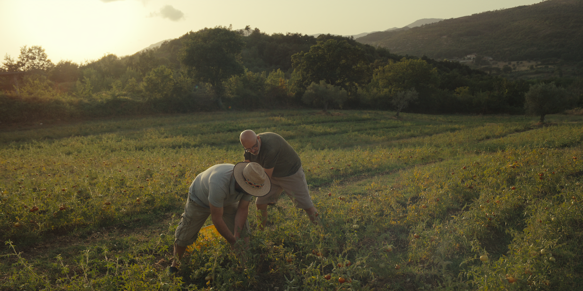Chef’s Table Pizza