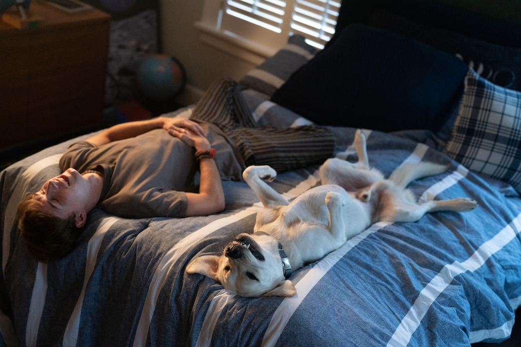 Is 'Dog Gone' a True Story? Rob Lowe Movie Trailer - Netflix Tudum
