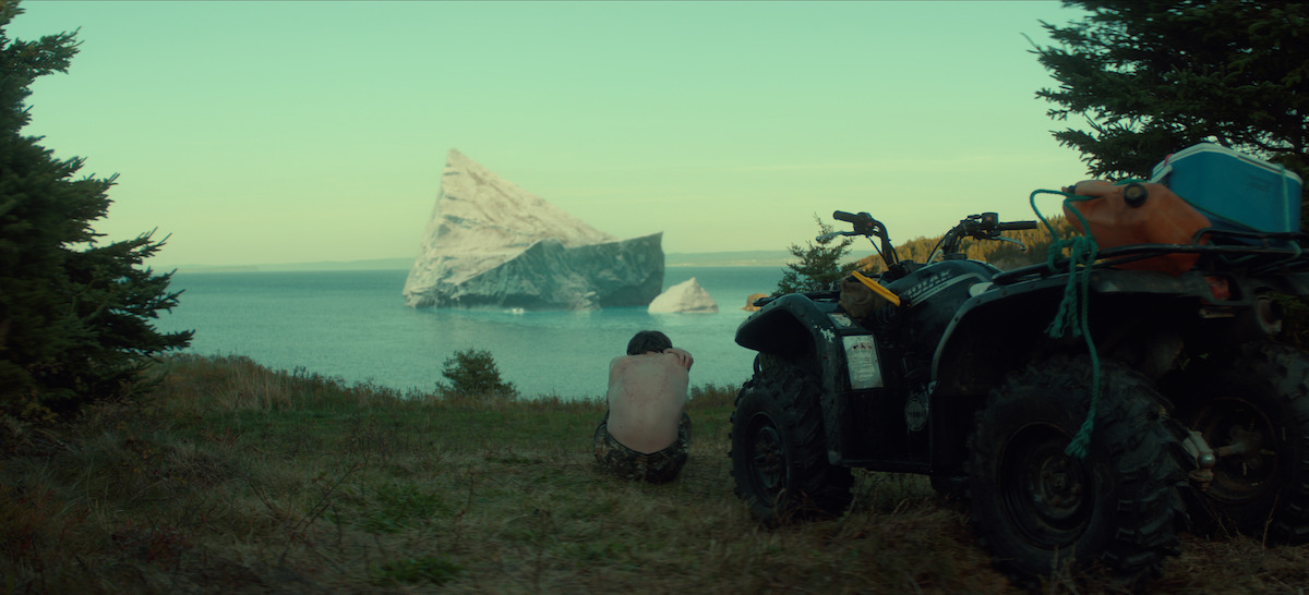 Person sitting on grass near an ATV, overlooking a large iceberg in the ocean, framed by trees on both sides, under a clear sky.