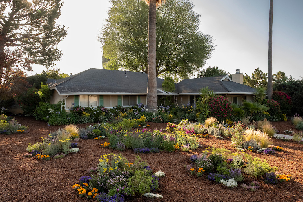 Is Amy's House Real on 'BEEF'? Netflix Tudum