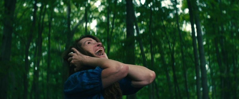  Julia Roberts as Amanda screaming in a forest. 