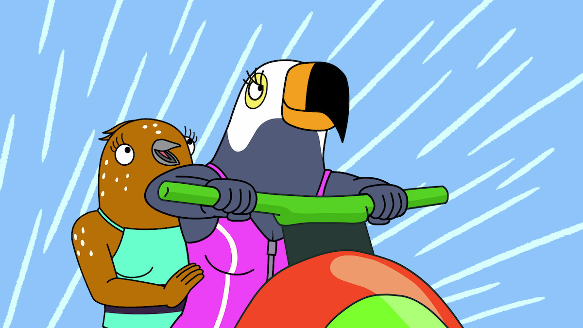 Two animated birds, one brown and one black-and-white, are riding a colorful jet ski together with a blue sky and white streaks in the background, suggesting speed and excitement.