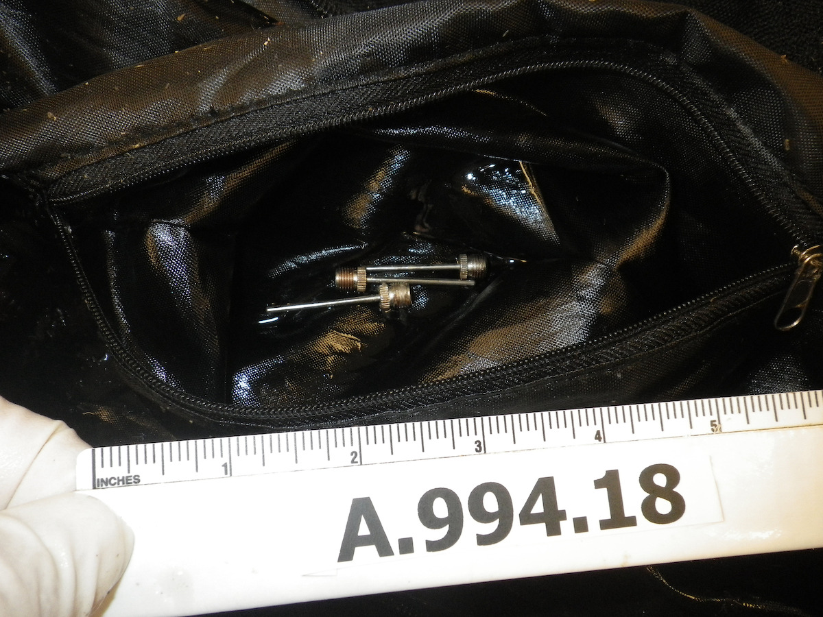 ‘Unsolved Mysteries’ Volume 3 Where Is Tammy Williams? Netflix Tudum