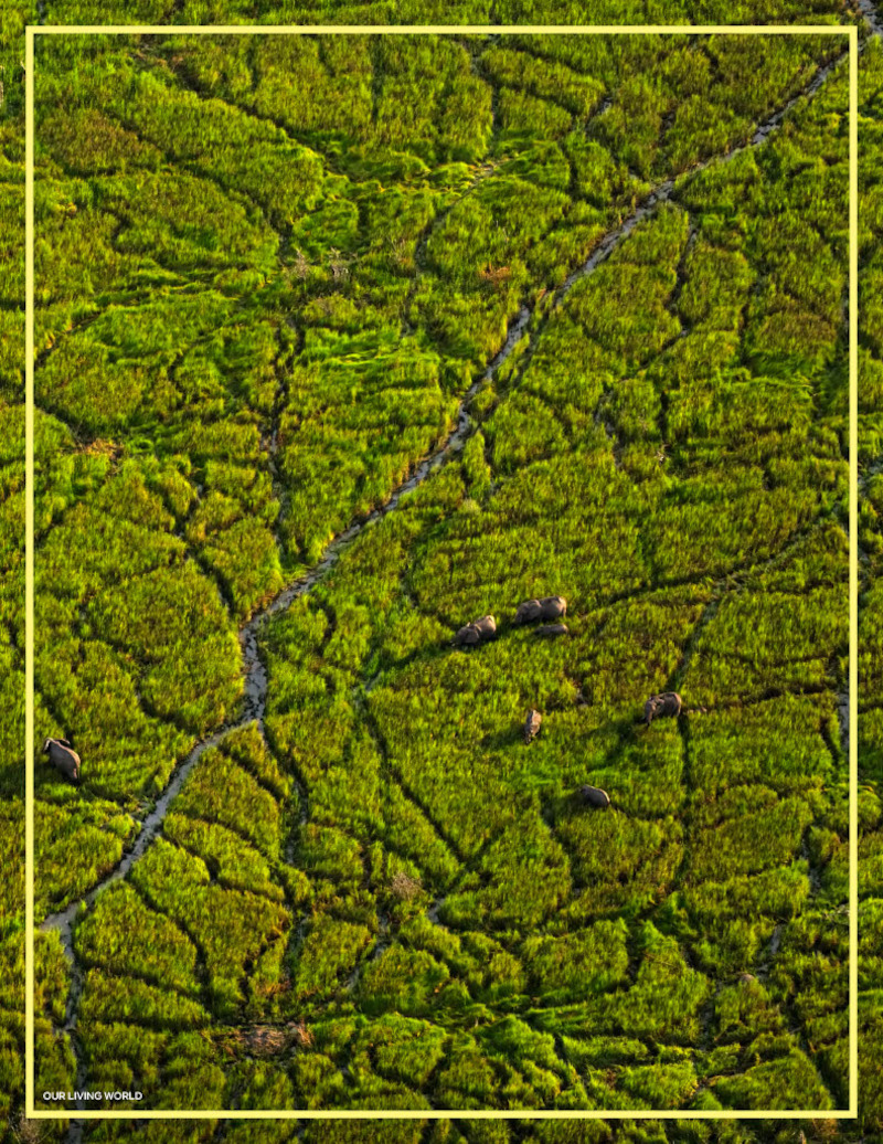 Earth Week 2024 Play Book