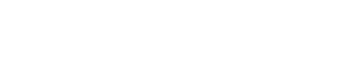 Number 41