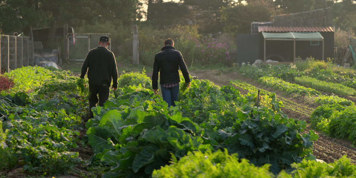 Chef’s Table France