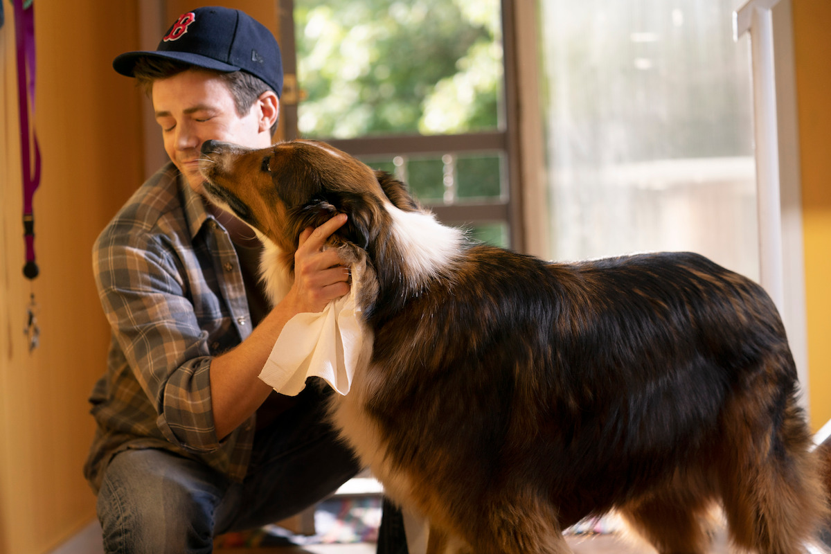 Beloved Modern Family dog dies after filming last episode