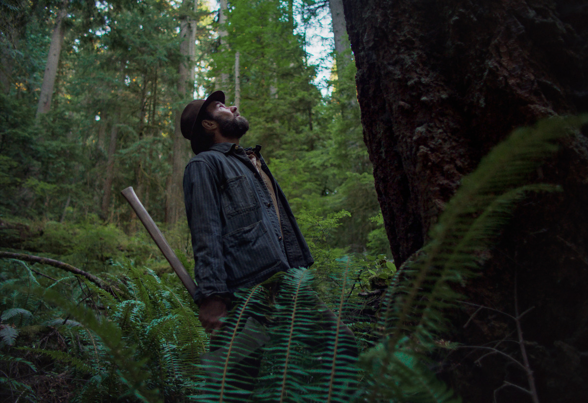 Man in hat holding an axe looks up at a tall tree in a dense, green forest with ferns, captured in soft natural light, evoking a contemplative and tranquil mood.