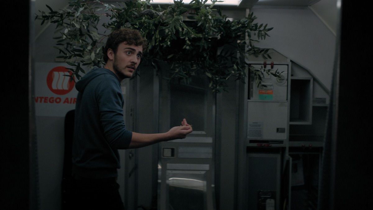 Boy on plane next to olive tree.