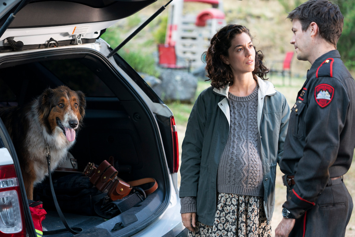 good movie recommendations family A dog sits in the trunk of a car as a man and woman speak outside