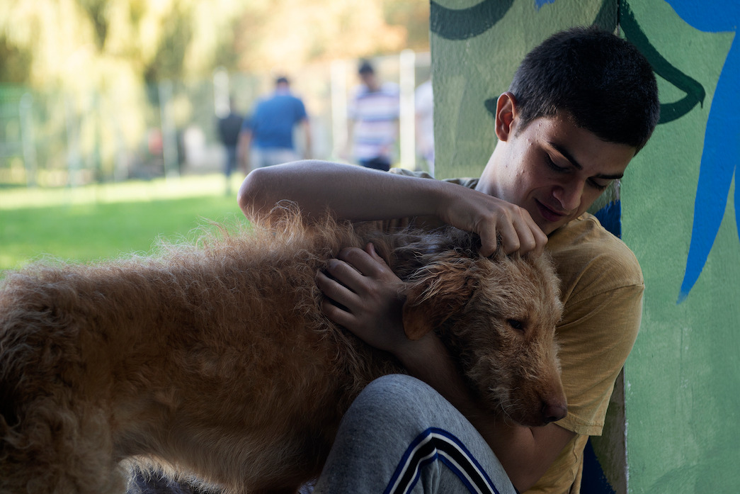 9 Best Dog Movies on Netflix - Netflix Tudum 9 Best Dog Movies on Netflix - Netflix Tudum