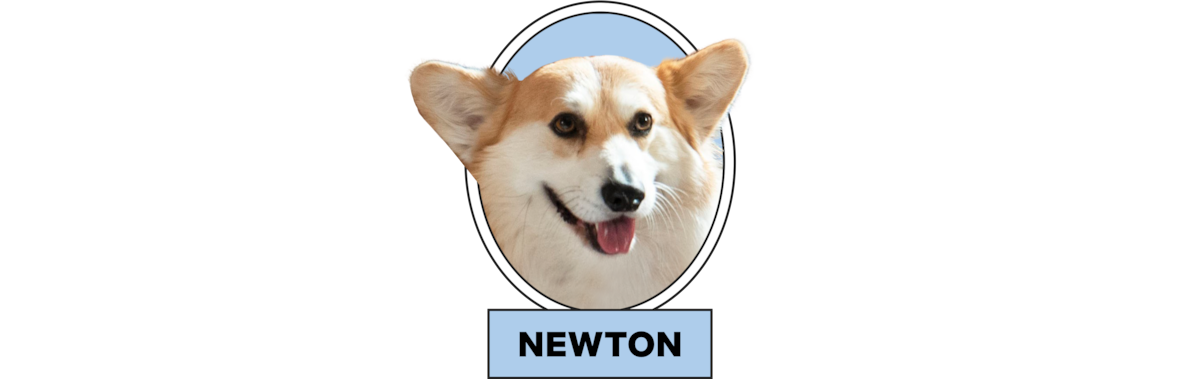 Corgi dog head with perky ears and happy expression in a circular frame, blue background, and the name "NEWTON" displayed below the image.