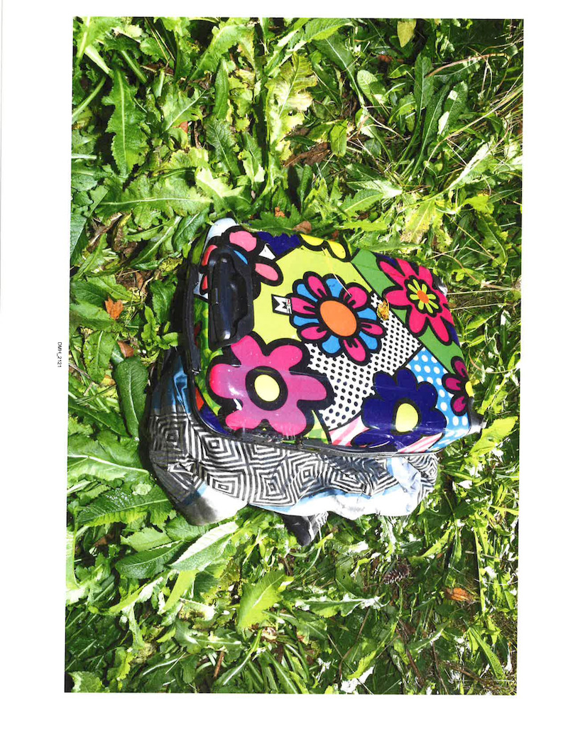 This small suitcase was found near I-75 on Oct. 16. - ‘Unsolved Mysteries’ Volume 3: Where Is Tammy Williams? Evidence photos