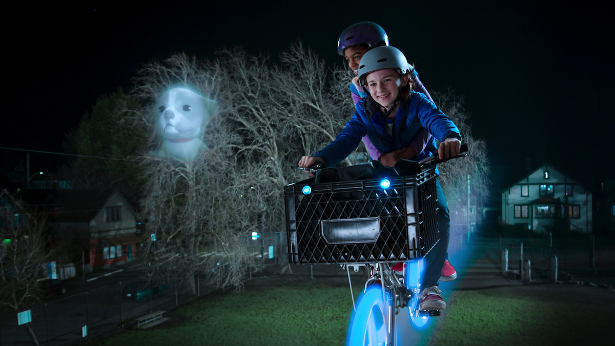 BEST SCARY MOVIES TO WATCH ON NETFLIX 2022 visual data 8