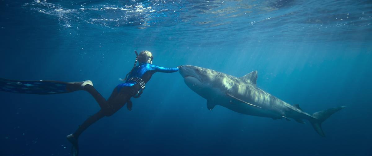 Ocean Ramsey touches a shark
