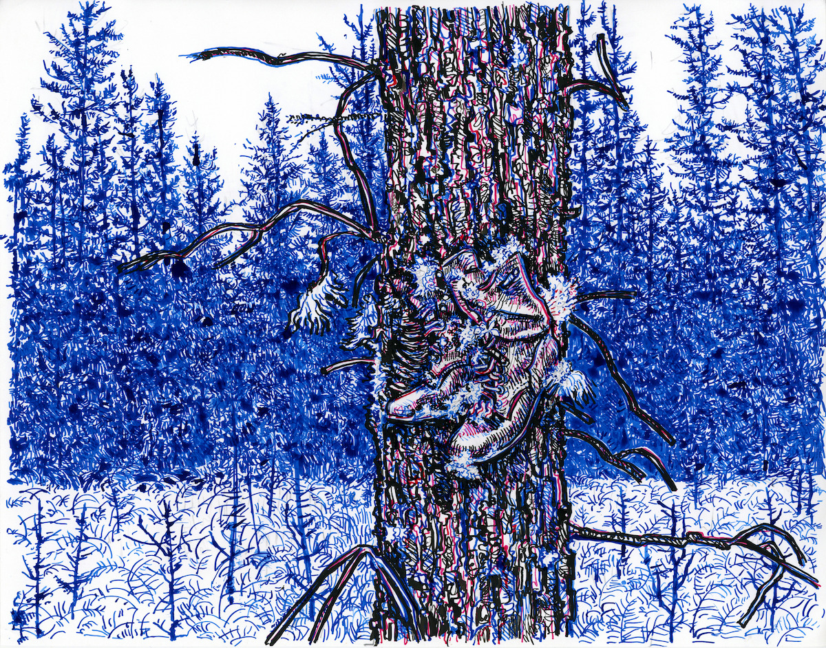 An illustration of a pair of boots nailed to a tree in a forest.