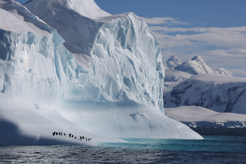 Is 'Our Planet' CGI? Here's How This Nature Documentary Is Actually Made - Netflix Tudum Is 'Our Planet' CGI? Here's How This Nature Documentary Is Actually Made - Netflix Tudum