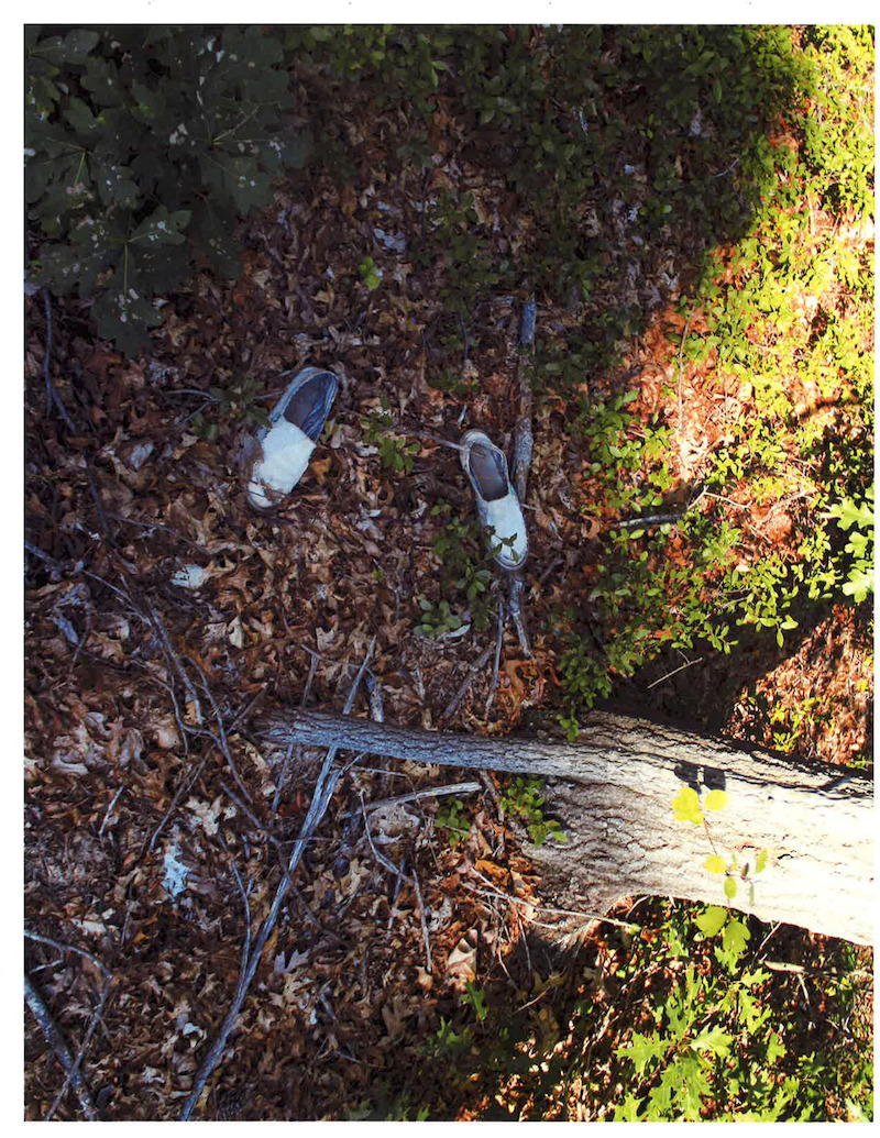 The exact position of Tiffany’s shoes in the weeds by the side of the road.  -  ‘Unsolved Mysteries’ Episode 1: Roadside clues
