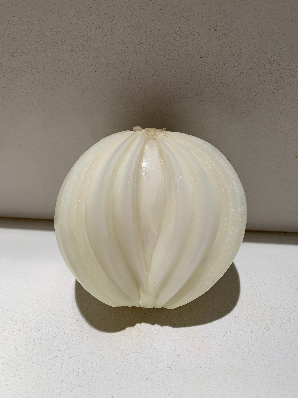 The real onion that Heinrichs cut into for inspo.