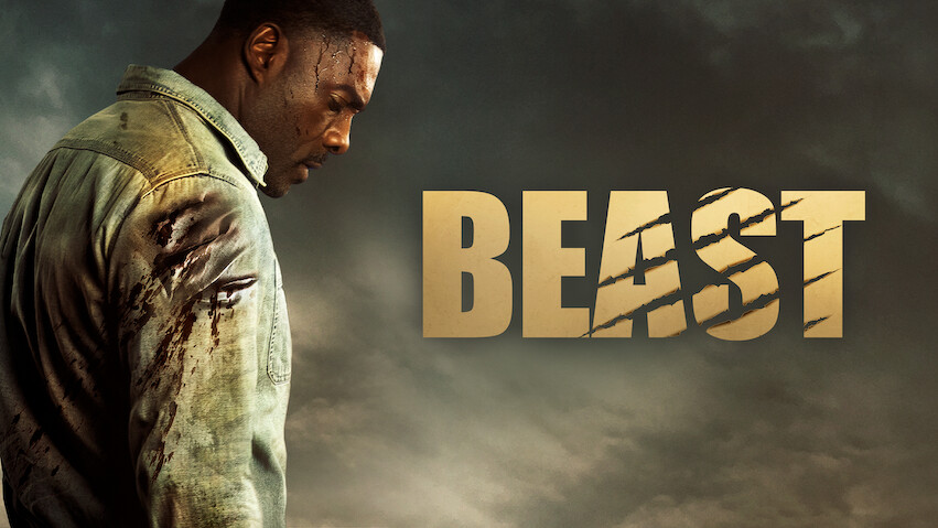 Top 10 Most Popular Movies on Netflix in Pakistan