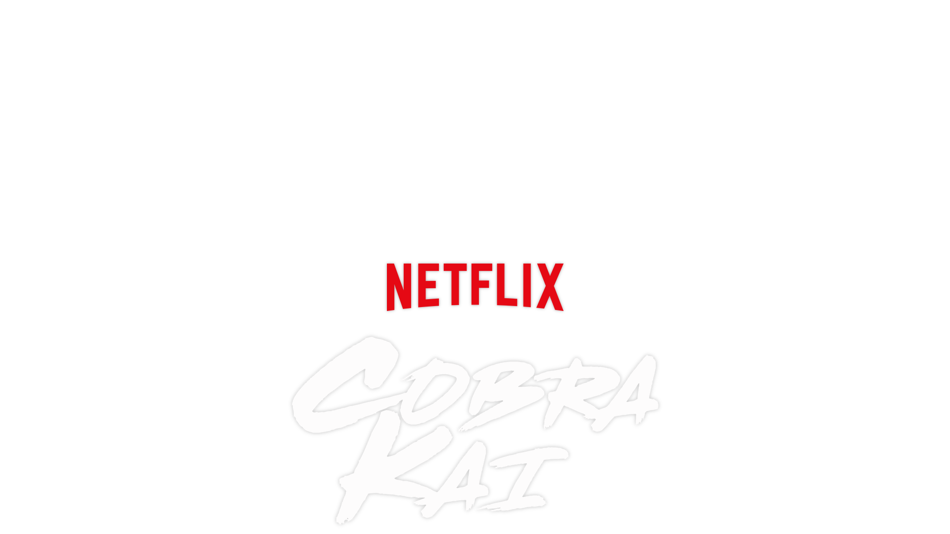 A group shot of the Cobra Kai stars including Ralph Maccio, William Zabka and others