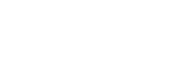 The Lost King
