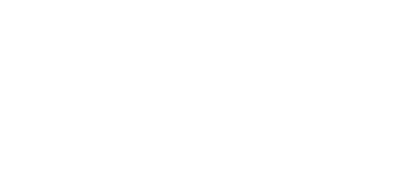 El sobreviviente