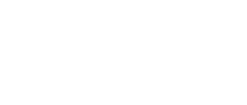 The Last Witch Hunter