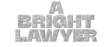 A Bright Lawyer