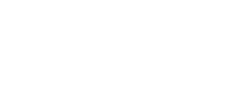 Irrupción