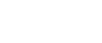 Compañera perfecta