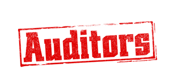 The Auditors: Season 1