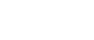 The In-Laws