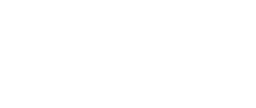 Cleaner