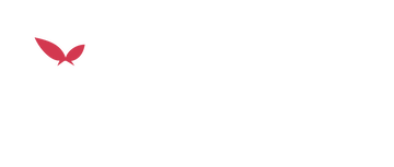 THE RIBBON HERO