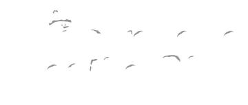 El bizarro hostal de Kian84: Temporada 2