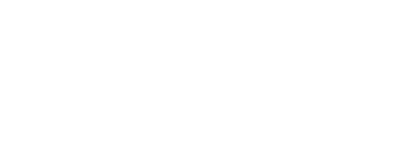 Disconnect: The Wedding Planner
