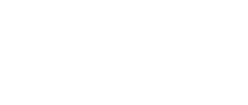 The Magician's Elephant