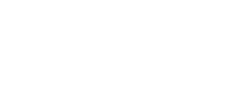 The Accidental Twins
