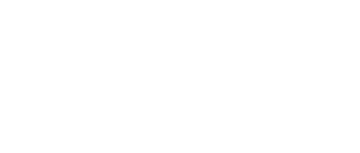 The Snow Sister