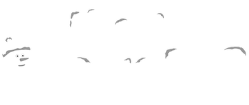 Kian’s Bizarre B&B: Season 2
