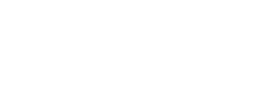 The Champion