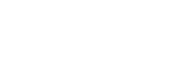 The Valet