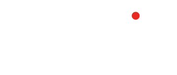 Detective Brothers
