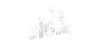 The Big 4